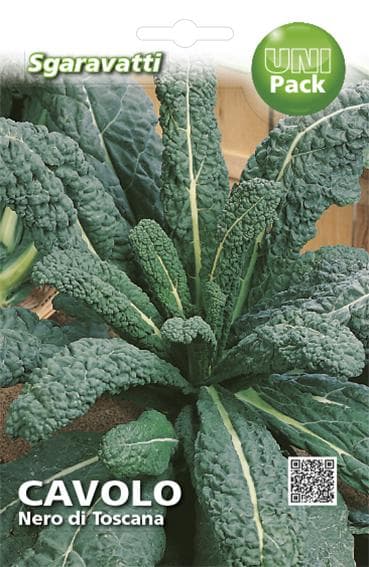 Semi per Ortaggi e Vegetali Cavolo Sgaravatti Nero di Toscana 20 Pezzi - 2