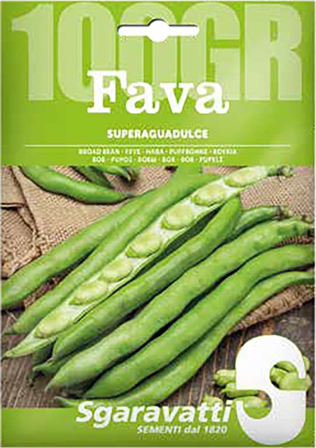 SEMI PER FAVE fava superaguadulce - gr 500  - SGARAVATTI
