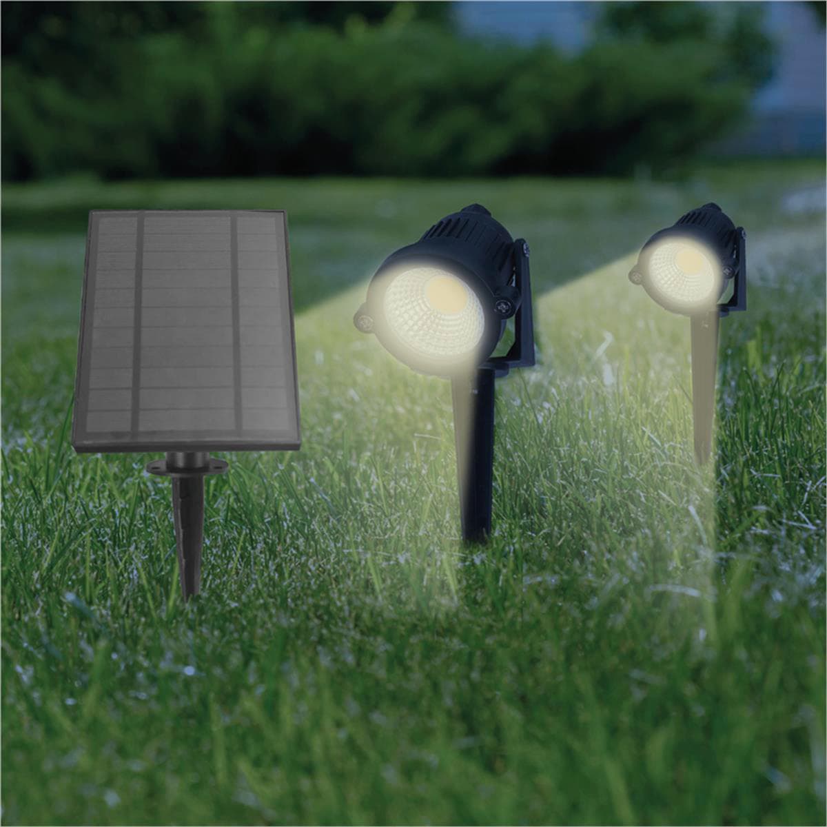 Set 2 Picchetti Solari 2 x 3 Watt 2 x 180 Lumen Luce Naturale Suprema - 2