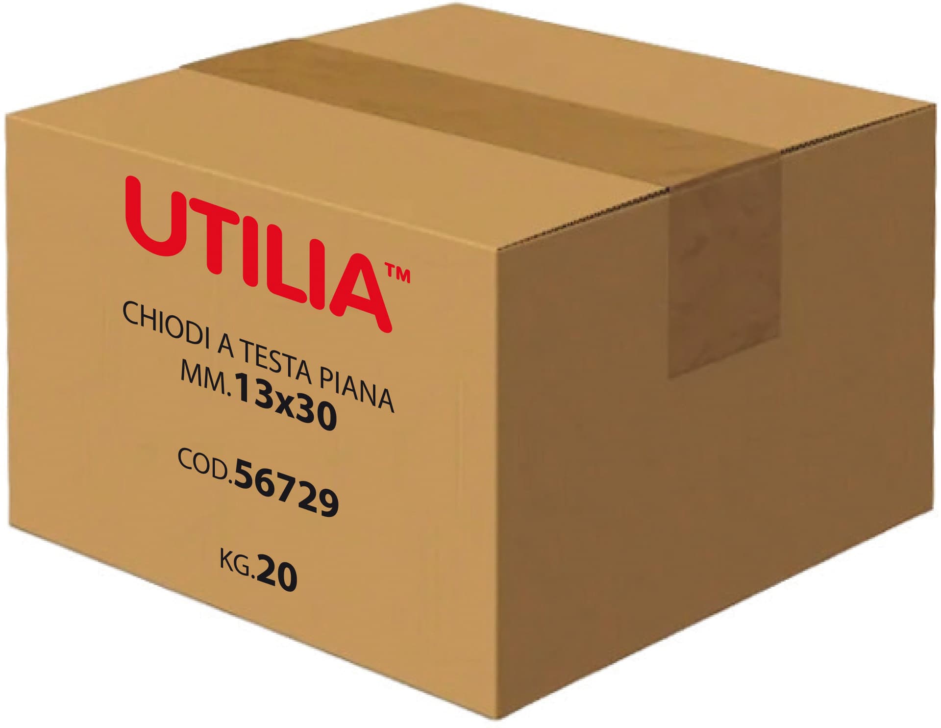 Chiodo a Testa Piana Misura 17 x 55 mm 5 00 kg Utilia - 3