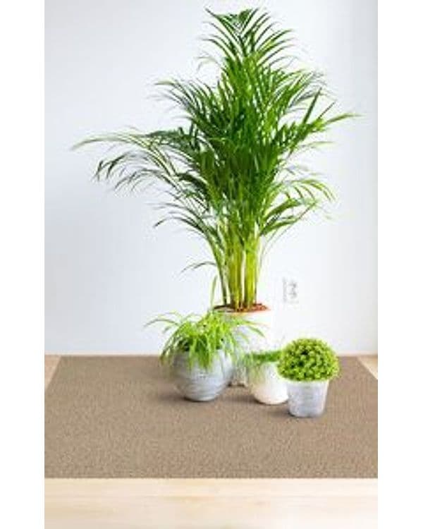 Copripavimento PVC Corallo 9845 4 0,80 mm 200HCM 80,0 Mq