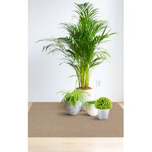 COPRIPAVIMENTO PVC CORALLO 9845-4   0,80MM 200HCM- 80,0 mq