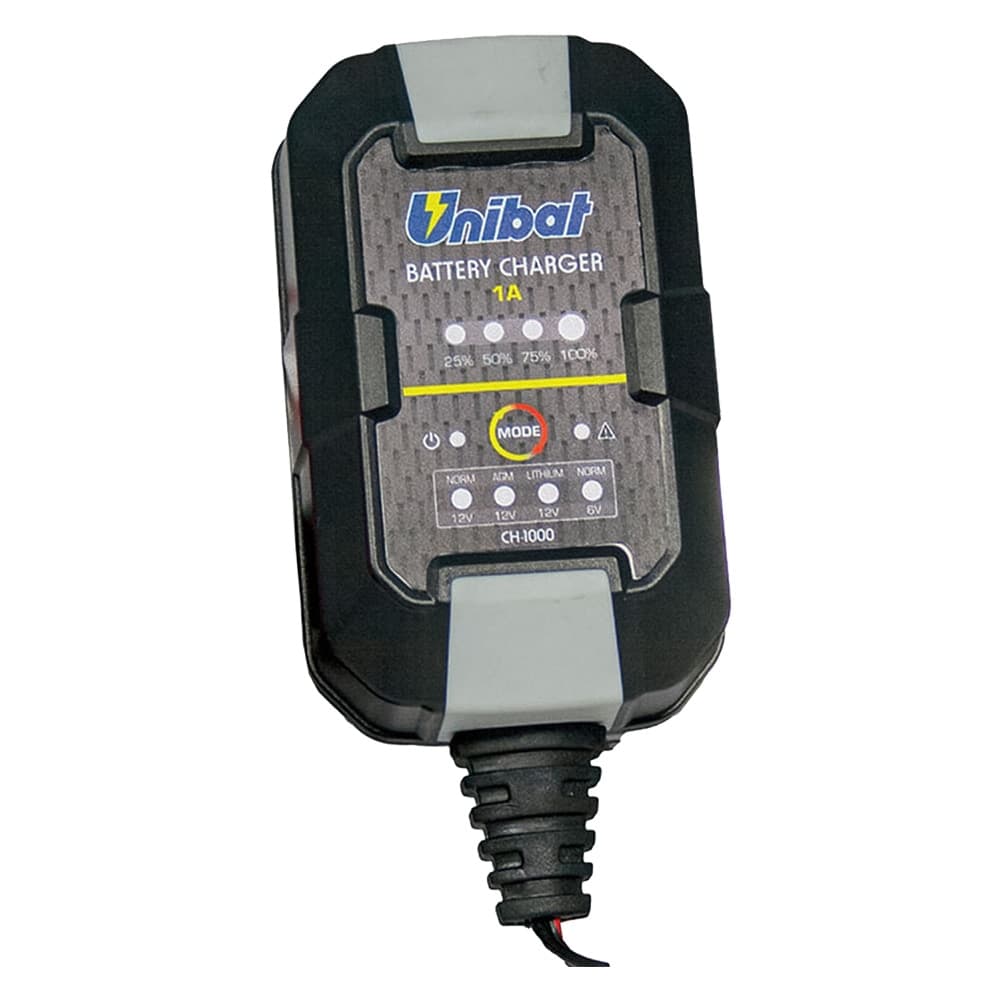 CARICABATTERIA E MANTENITORE AUTOMATICO 6/12 V  - BricoGo - 2