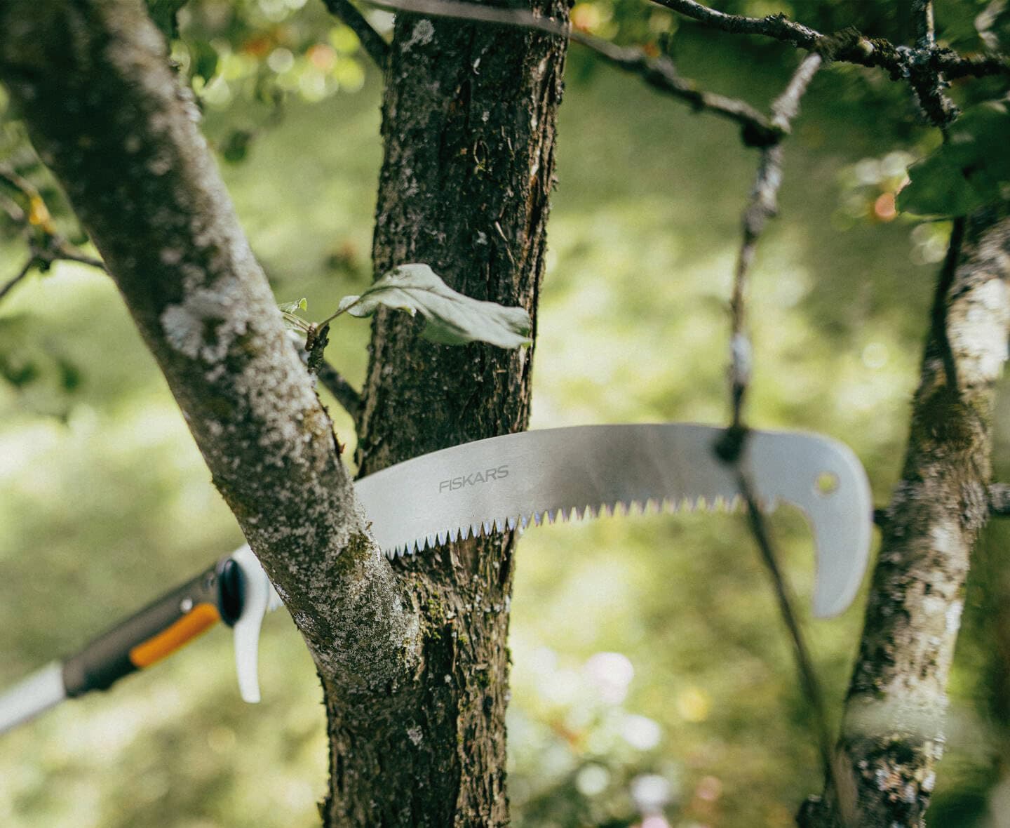 Seghetto Curvo Oneclick Cm 36 Fiskars - 2