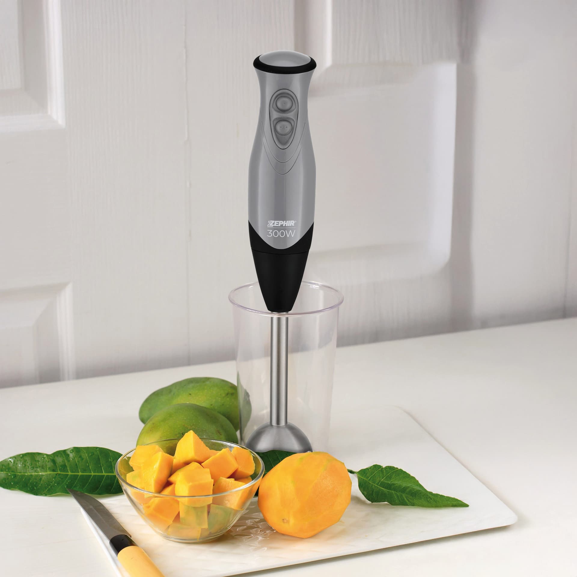 Frullatore ad Immersione ZHC84 300 W Gambo in Acciaio Inox Zephir - 2