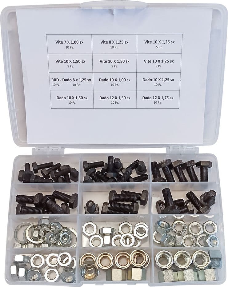 ASSORTIMENTO VITI DADI E RONDELLE totale 110 pz  - BricoGo