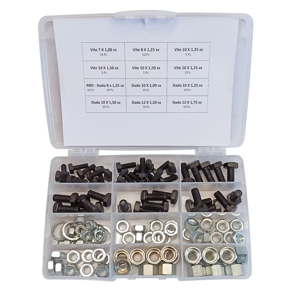 Assortimento Viti Dadi e Rondelle Totale 110 Pezzi