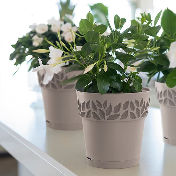 Vaso Tondo x H.15 Greige Stefanplast Cloe Grigio Quarzo Ø 15 - 3