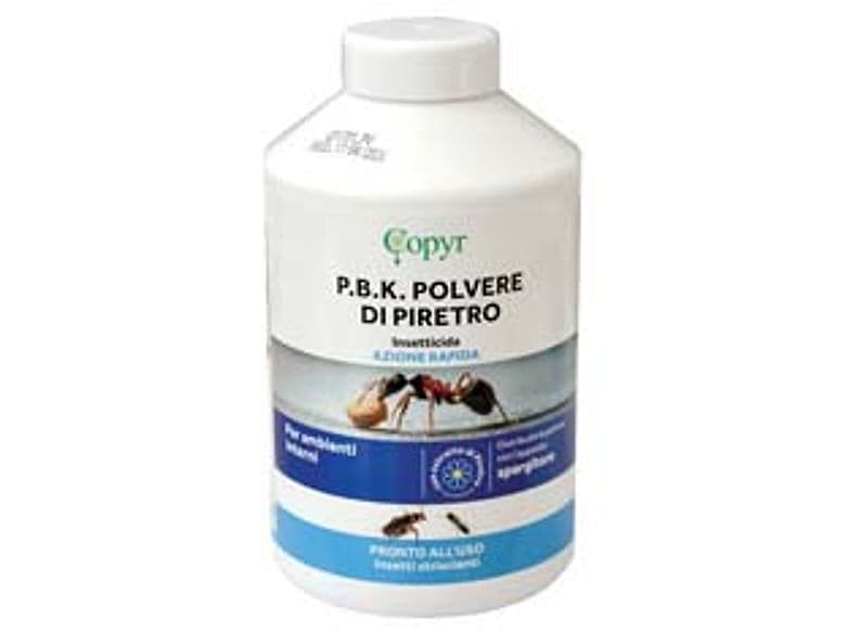 Insetticida Pbk in Polvere di Piretro Copyr 250 g 2 Pezzi