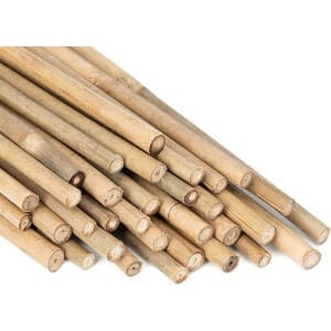 C CANNA BAMBOO NATURALE 150 CM-D.20/22 MM- C LINE GARDEN- 25,0 pz