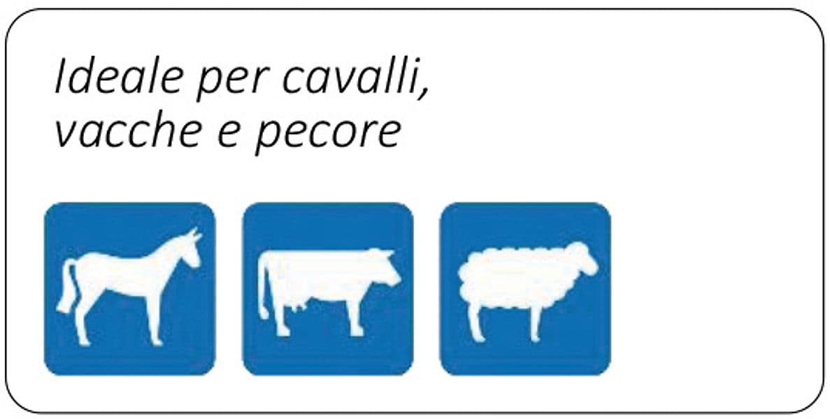 Elettrificatore 12 230 V ''Duo 3000'' Energia di Scarica 2 Joule - 2