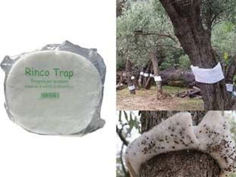 Trappola per Insetti Rincotrap 15 Cmh. x 20 m Circa Lunghezza 2 Pezzi