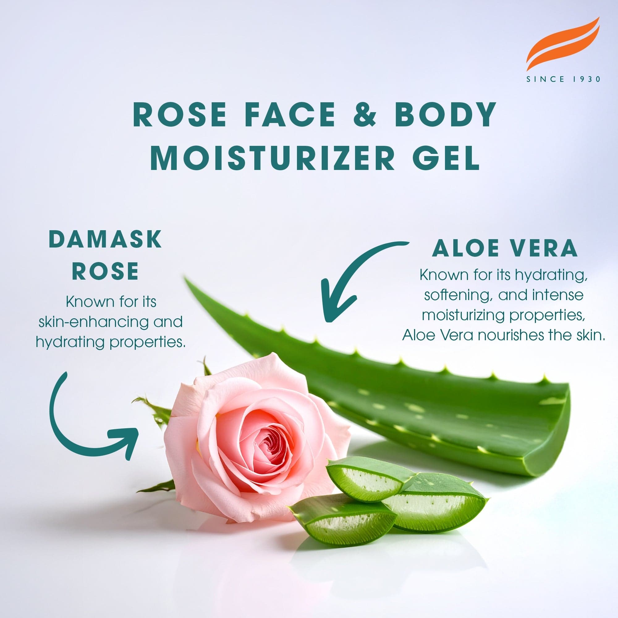 Himalaya Gel Idratante Viso e Corpo alla Rosa di Damasco – 300ml - 2