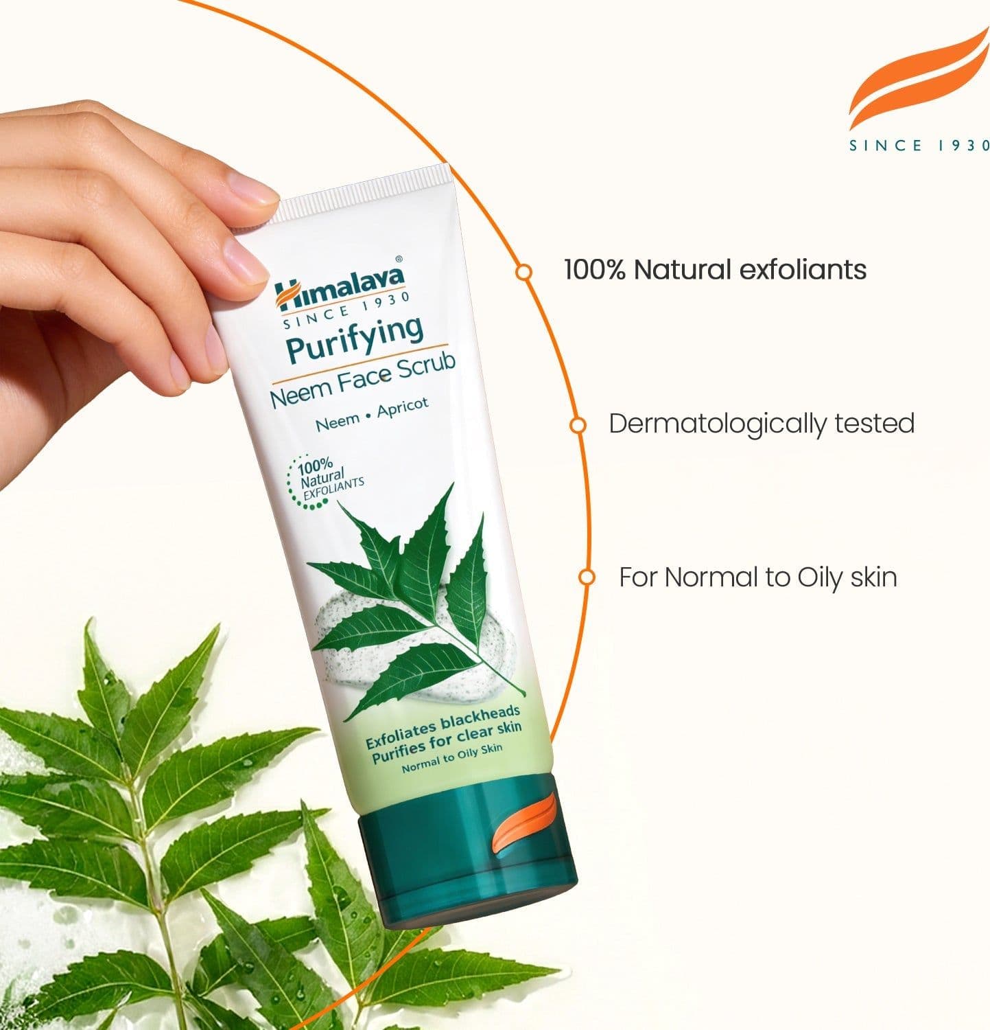 Himalaya Scrub Purificante al Neem – Pelle Libera da Impurità - 3