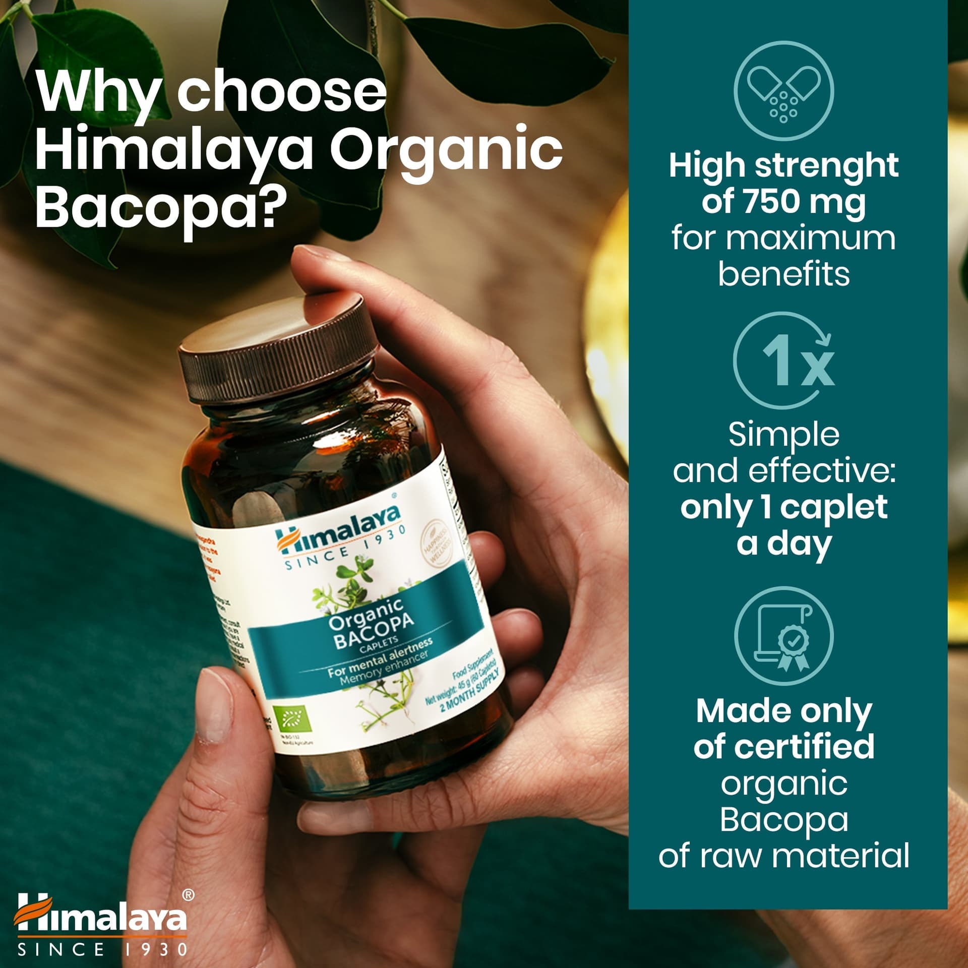 Himalaya Bacopa Biologica (Brahmi) – Memoria e Concentrazione - 2