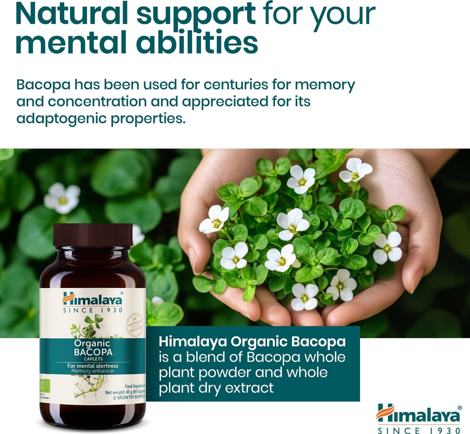Himalaya Bacopa Biologica (Brahmi) – Memoria e Concentrazione - 3