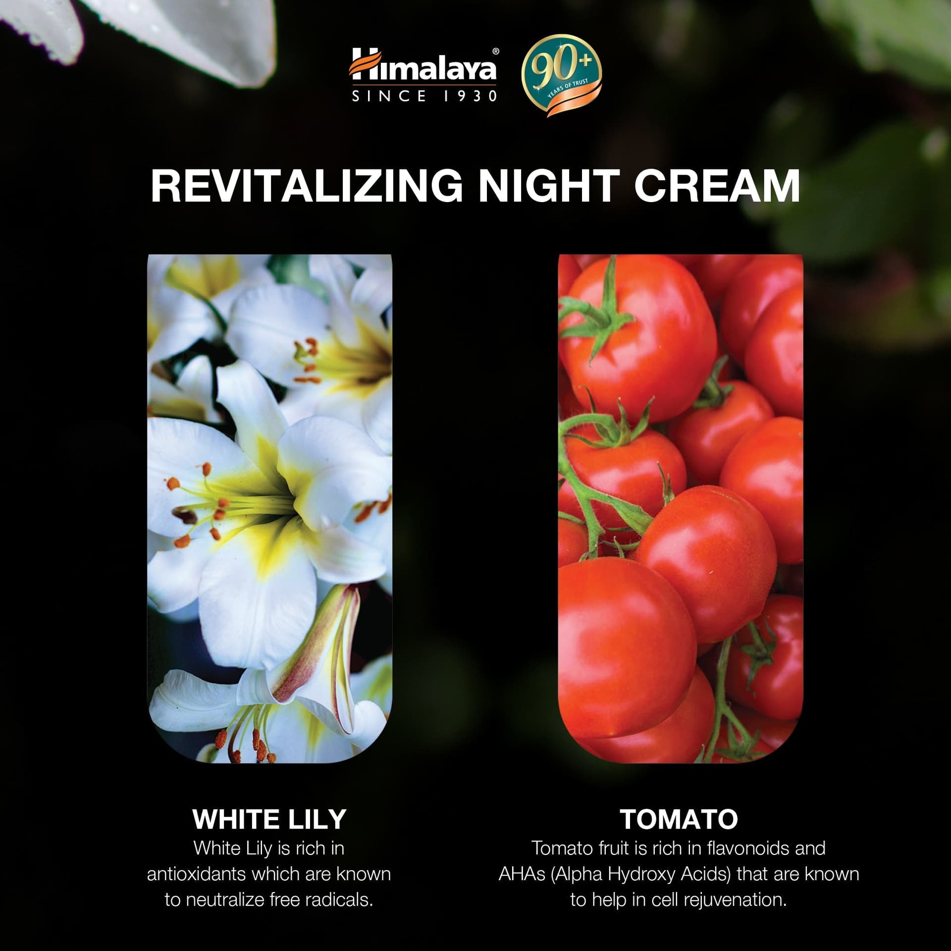 Himalaya Crema Notte Rivitalizzante – Nutrimento e Riparazione Notturna - 4