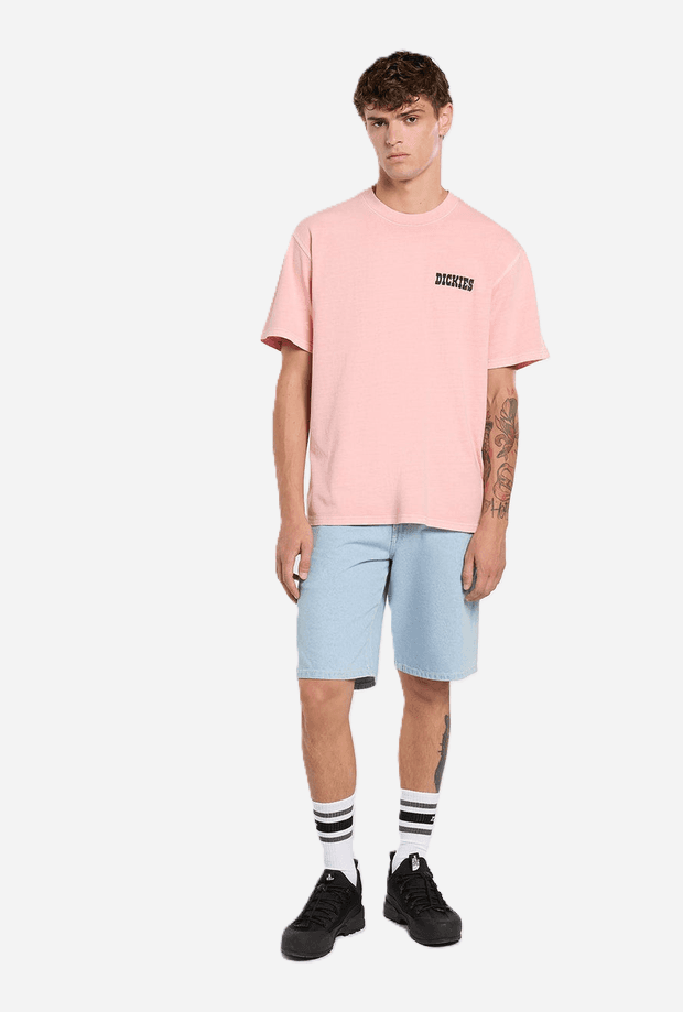 DICKIES shorts carpenter 993 uomo blu chiaro - 5