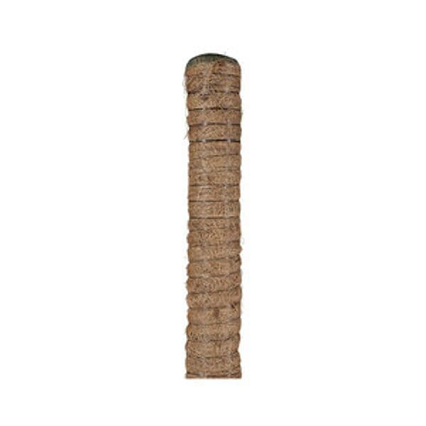 Tutore Muschiato H 80 cm Verdelook