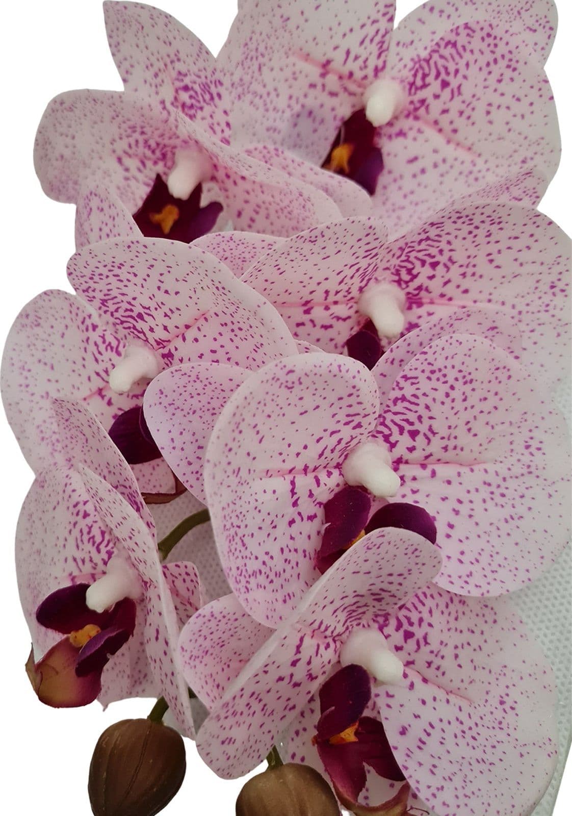 Fiore artificiale ramo decorativo di Orchidea Phal Real bianco/fucsia da 50 cm - 2