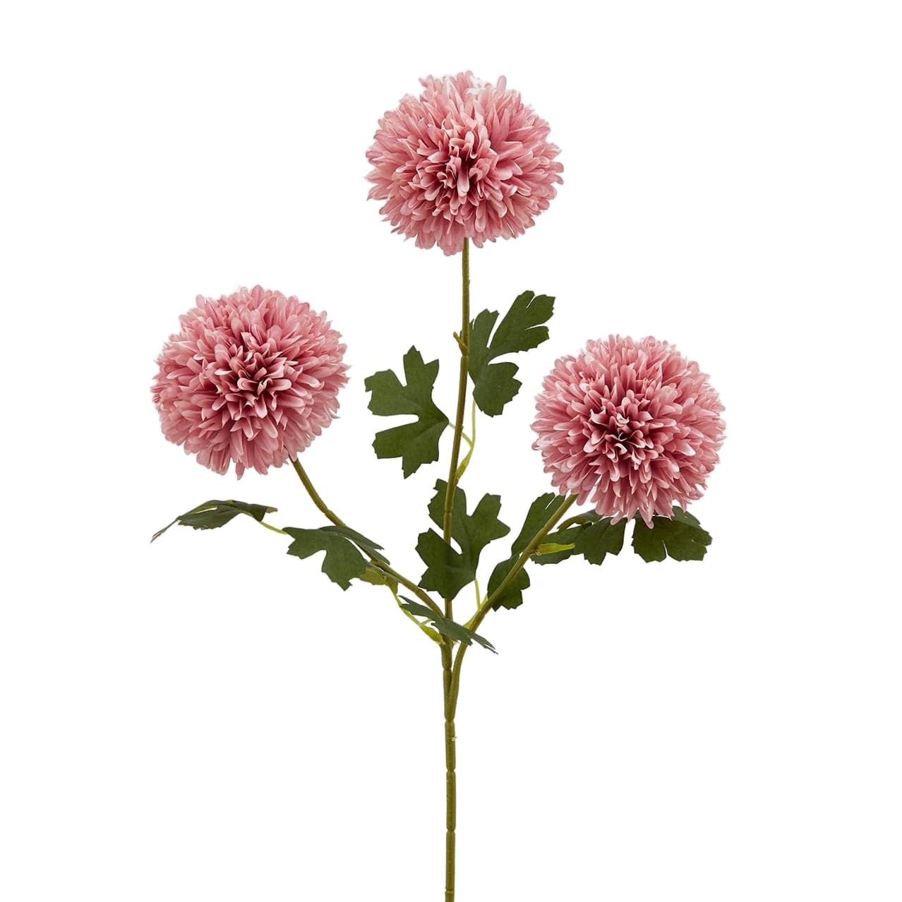 Ramo decorativo Pon Pon Bliss per composizioni floreali da 65 cm - 2