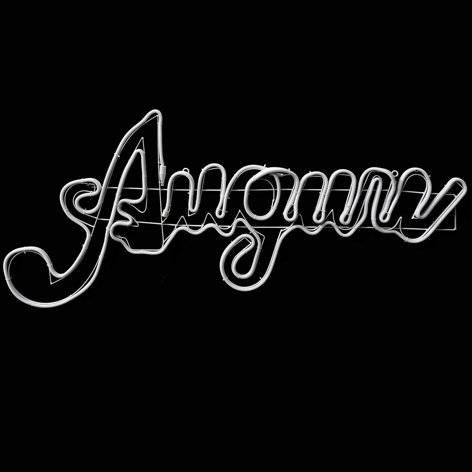 Decorazione luminosa a led scritta auguri luce fredda effetto neon da esterno 120 cm - 2