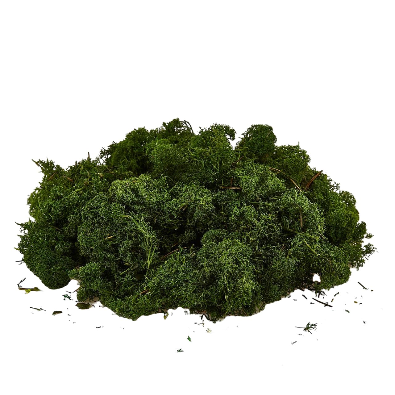 Muschio lichene tappeto naturale per presepe decorazione natalizia da 1kg - 3