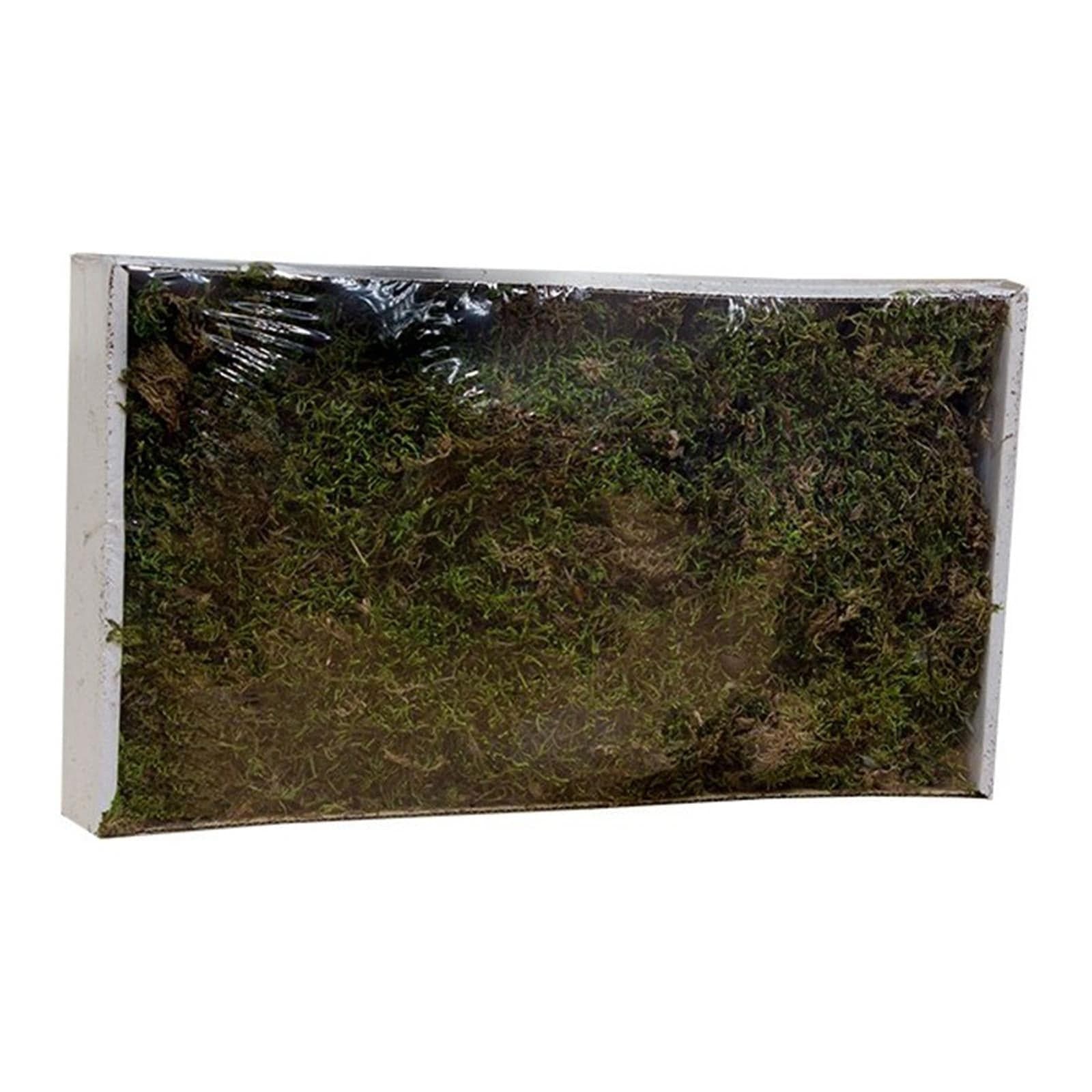 Muschio secco tappeto naturale per presepe 250 gr decorazione natalizia - 3