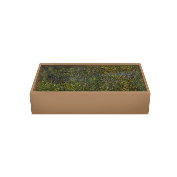 Muschio Verde in scatola tappeto naturale per villaggio natalizio 500 g - 2