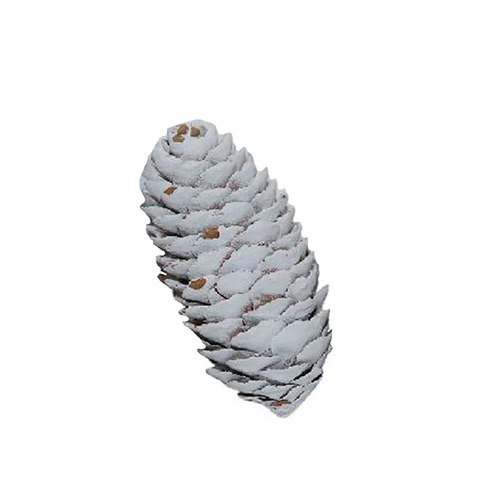 Pigna per albero di natale 300 g decorazione natalizia da 8 cm - 2