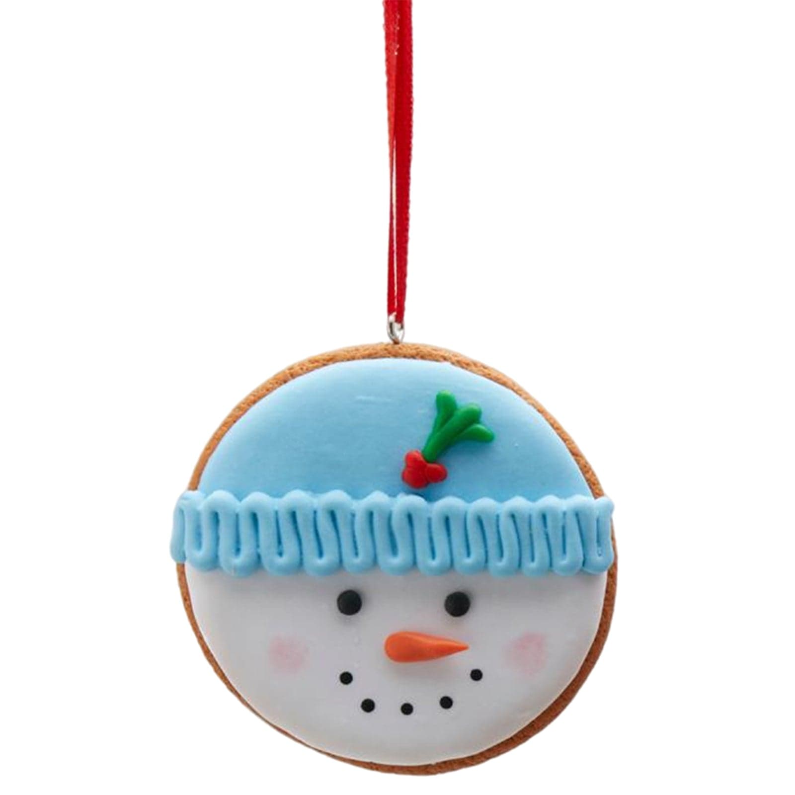 Pendaglio per albero di natale Biscotti con Glassa da 8 cm rosso verde e blu - 3