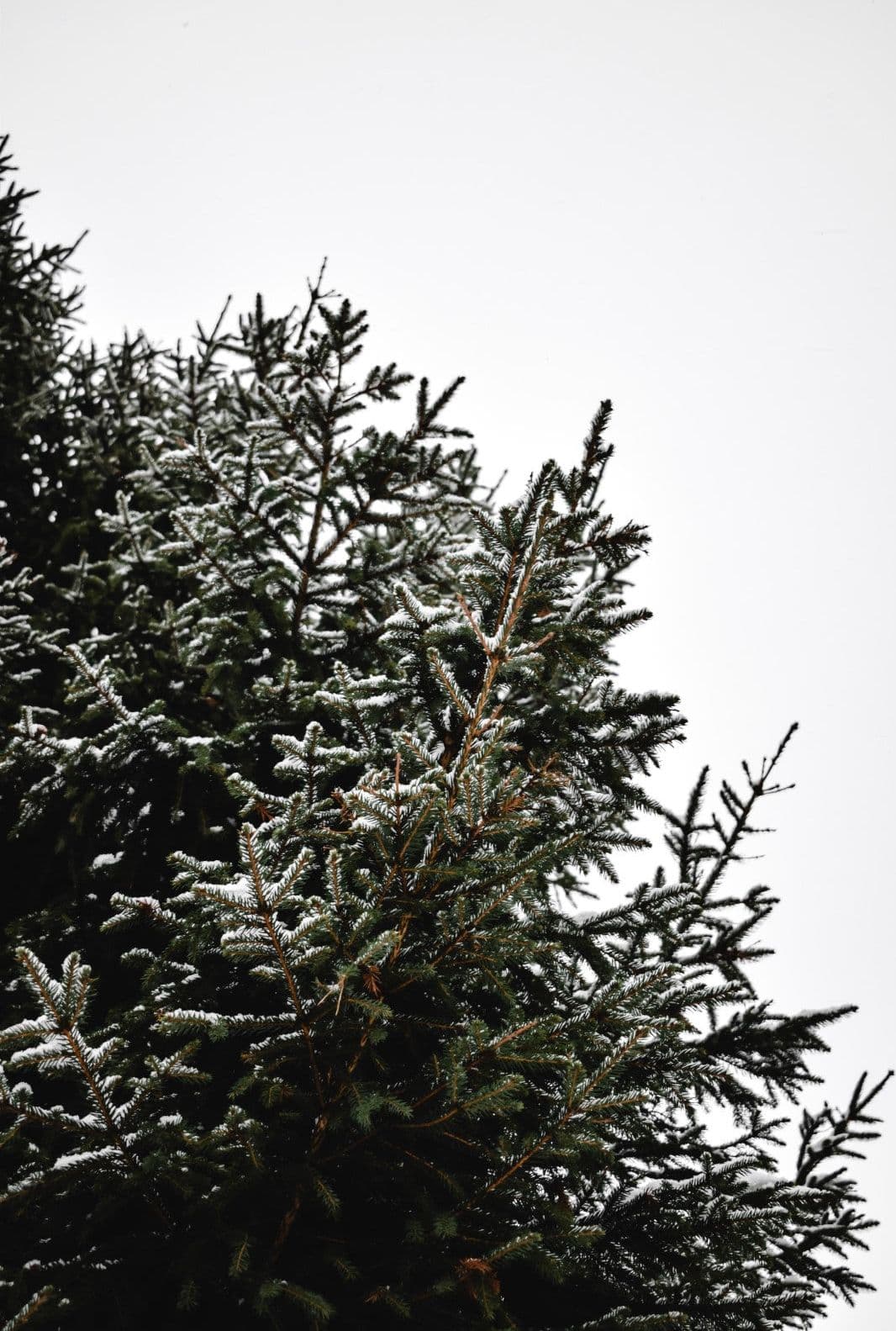 Neve finta artificiale per presepe e villaggi natalizi sbriciolata in sacchetto da 170 grammi - 3
