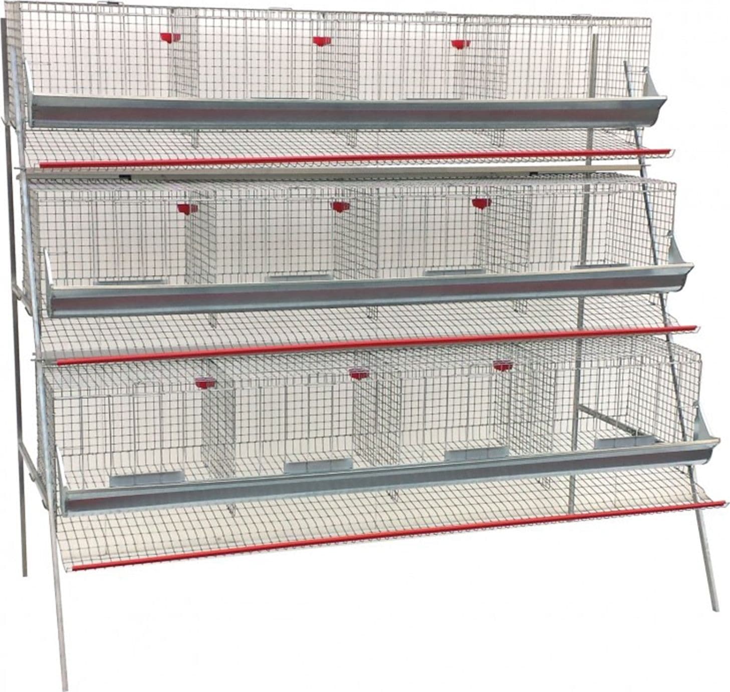 Gabbia per galline ovaiole in lamiera zincata con celle chiudibili e abbeveratoio - 3