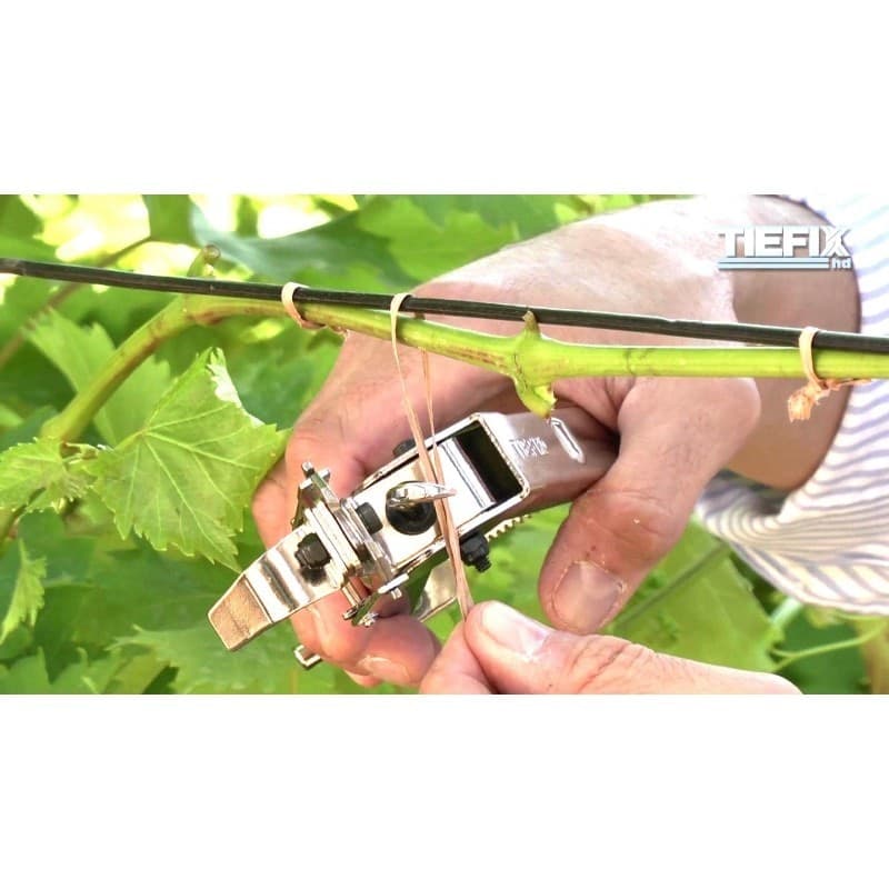 Piattina filo cartonata per fissaggi manuali o con pinza legatrice 250 m - 3