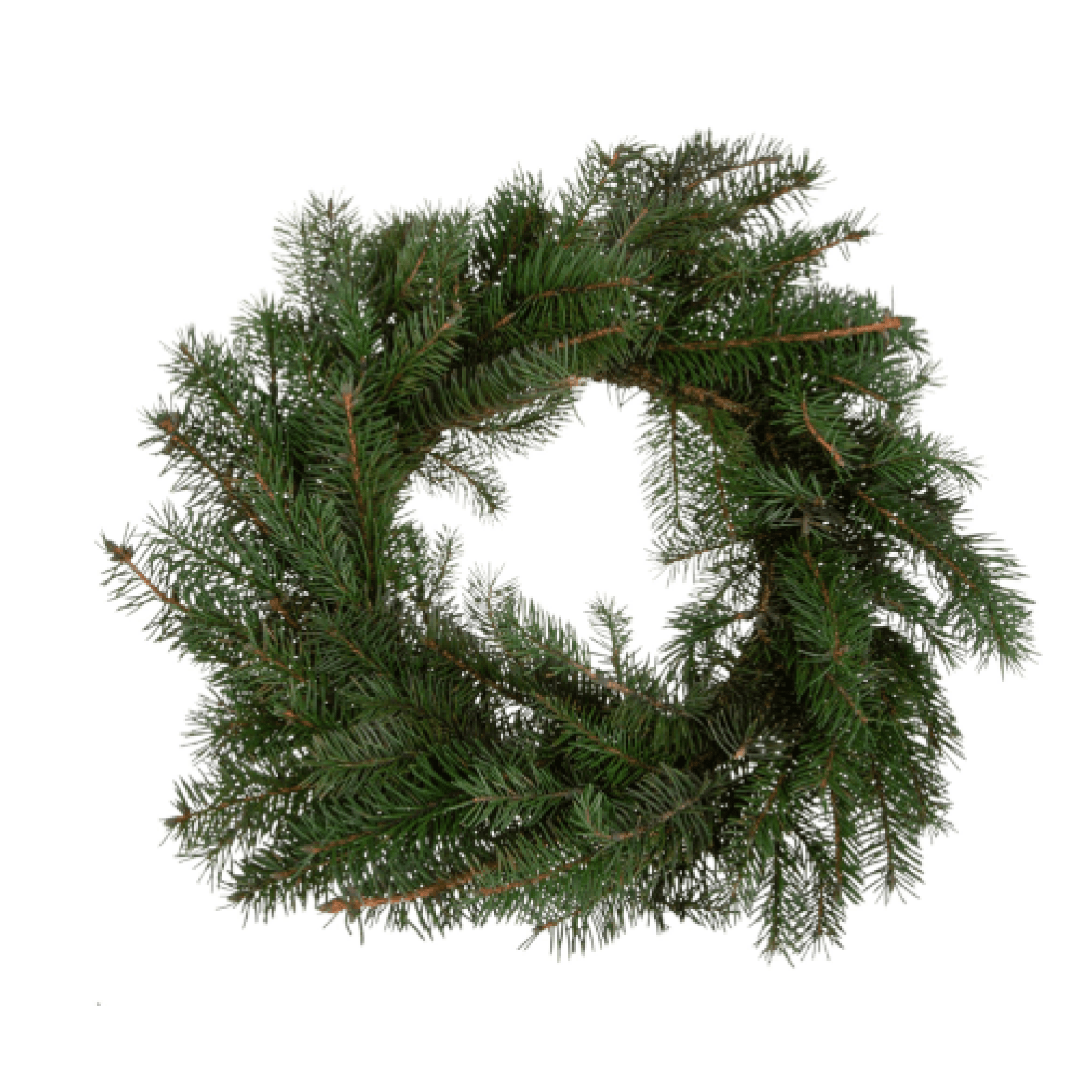Corona di Abete Preservato, Verde, per Decorazioni Natalizie - 2
