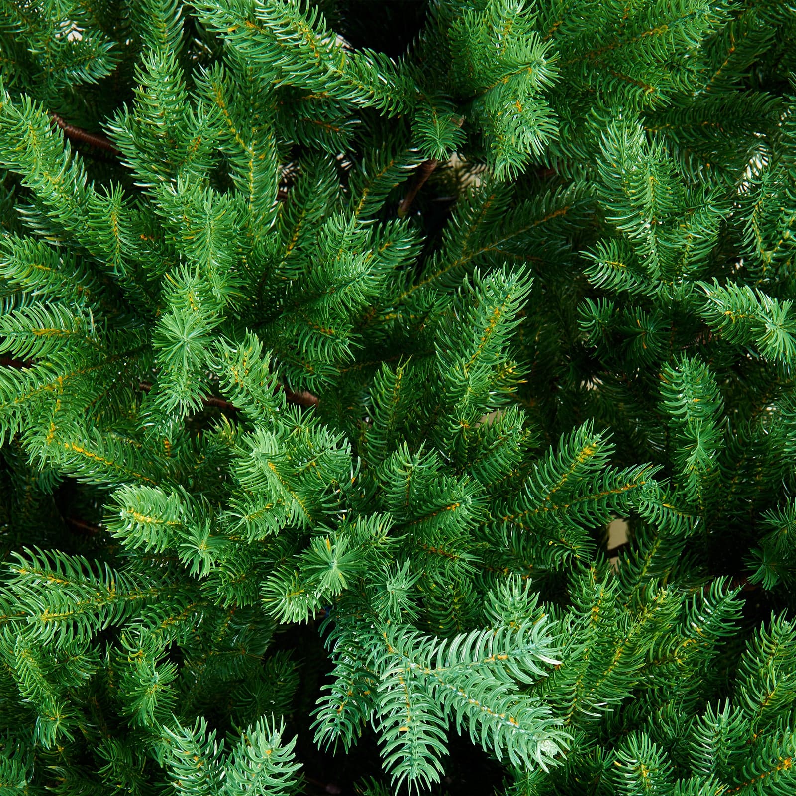 Albero di natale "Jackson Hole" in 100% PE di Altissima qualità - 2