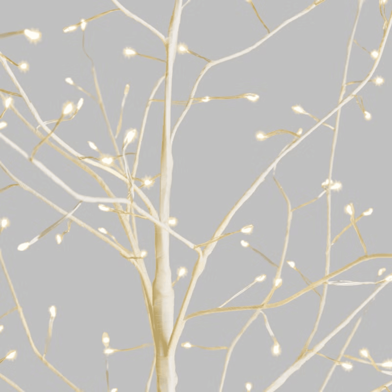 Albero Ramo luminoso Leccio bianco caldo per decorazioni - 9
