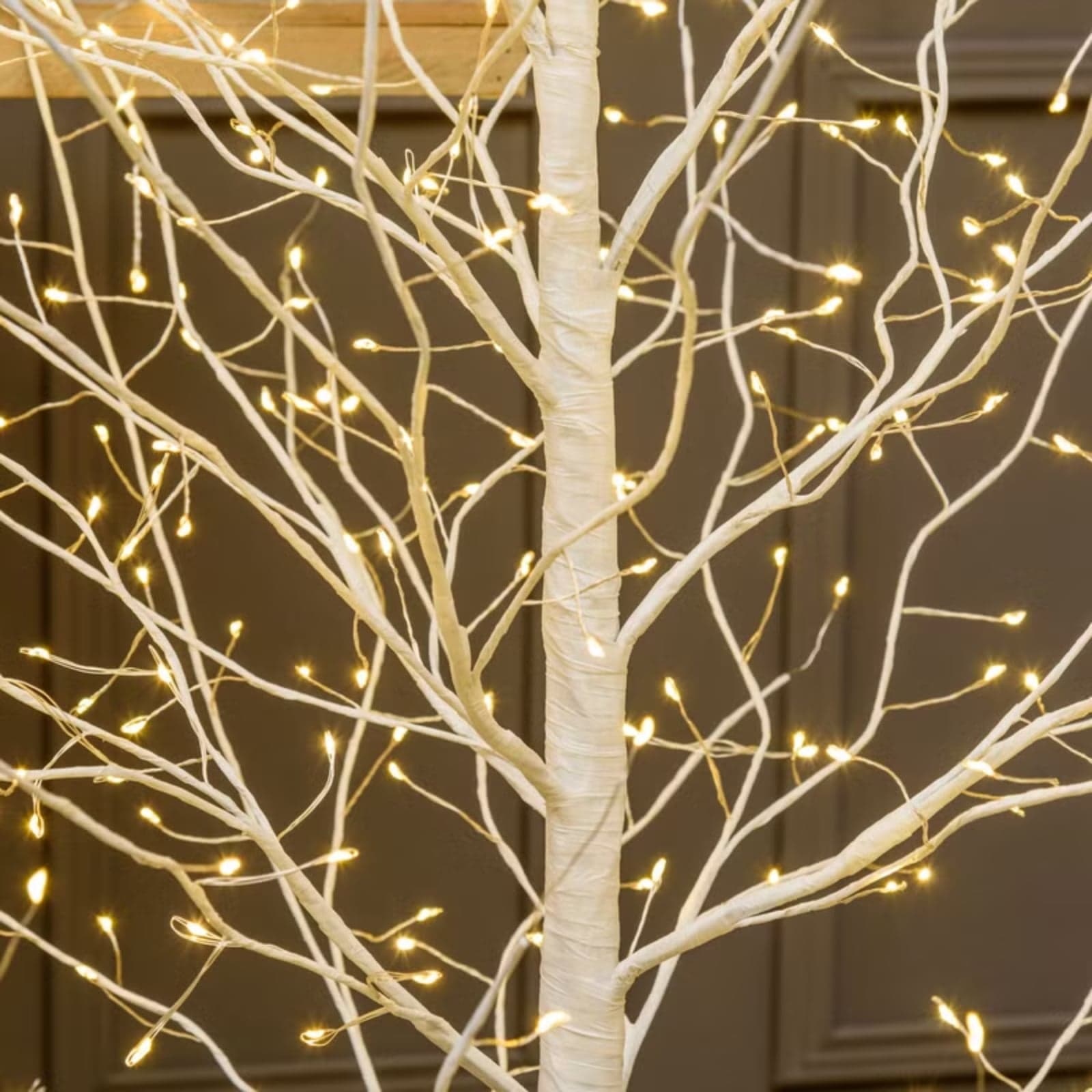 Albero Ramo luminoso Leccio bianco caldo per decorazioni - 10