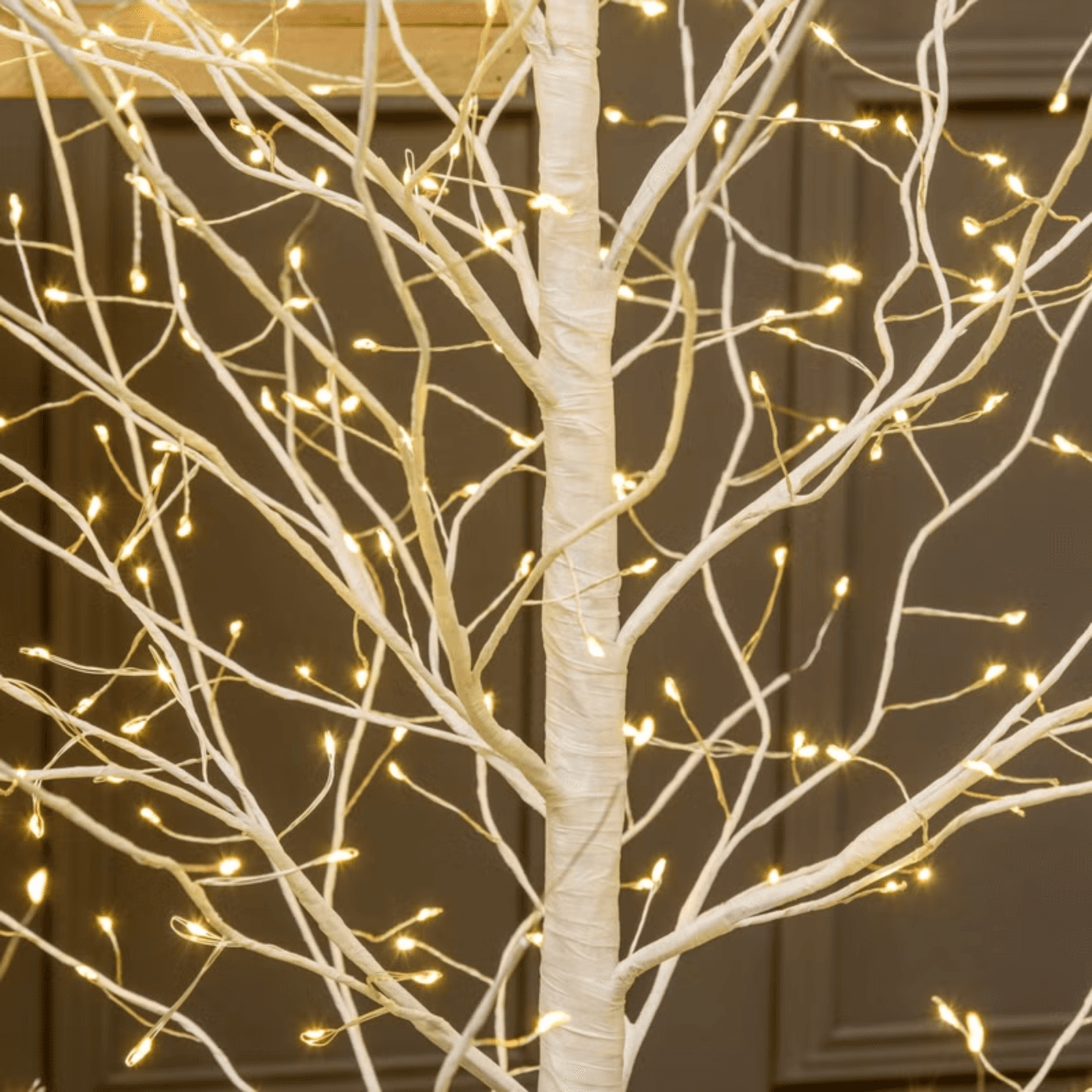 Albero Ramo luminoso Leccio bianco caldo per decorazioni - 10