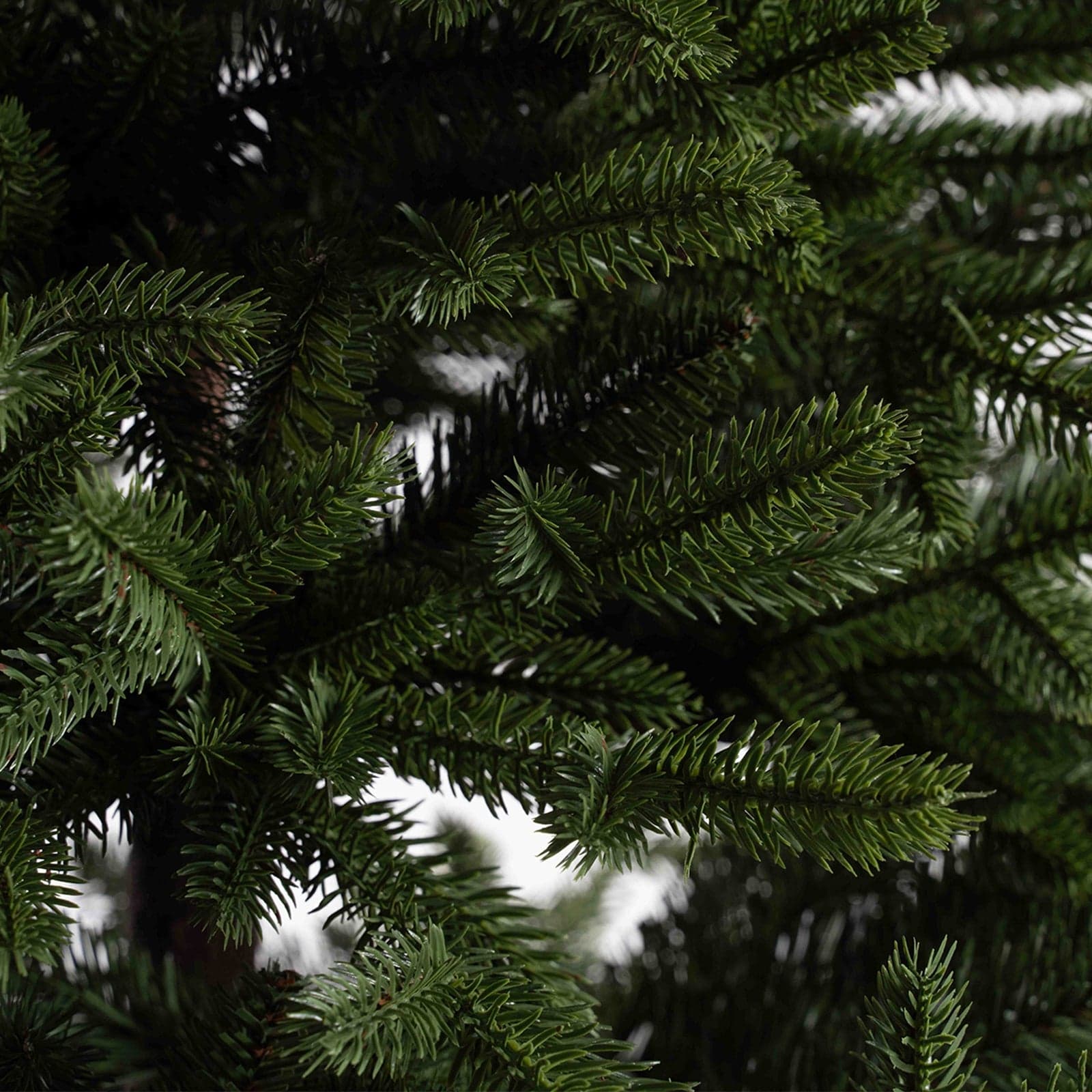 Albero di Natale "Sierra" 70% PE con tronco Marrone Effetto Real Touch + PVC di Altissima Qualità - 5