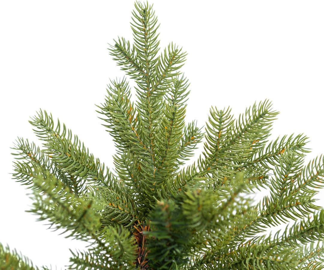 Albero di Natale "St Anton" 70% PE Effetto Real Touch + PVC di Altissima Qualità - 3