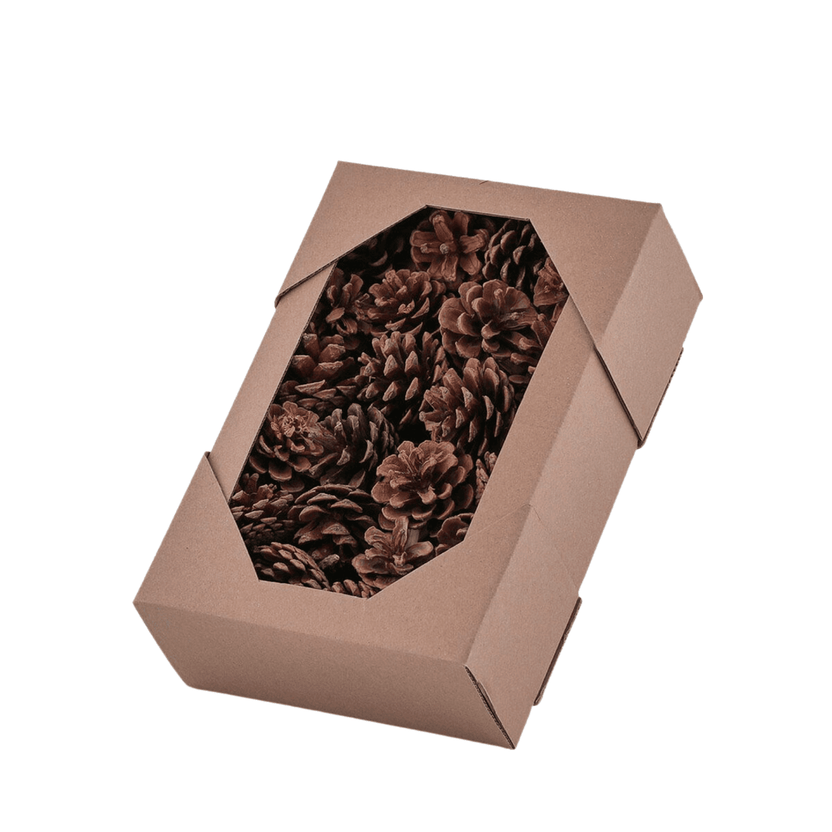 Pigne per albero di Natale Ø 6 cm, confezione da 48 pezzi - 2