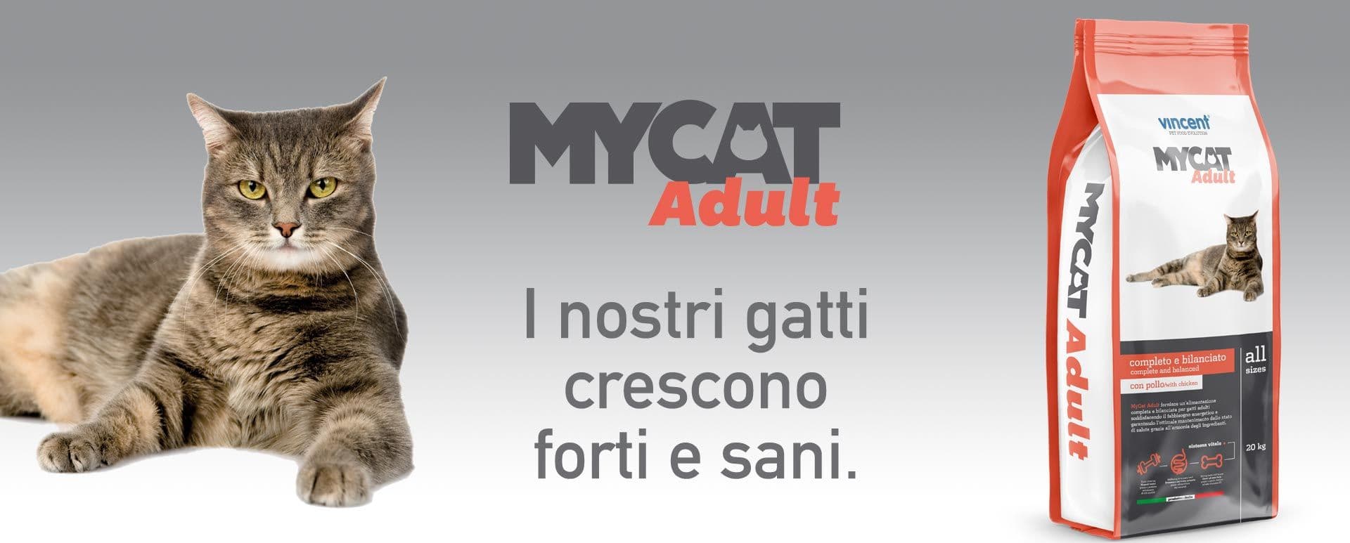 Crocchette Vincent per gatti My Diet a base di carne, cereali e verdura. - 2