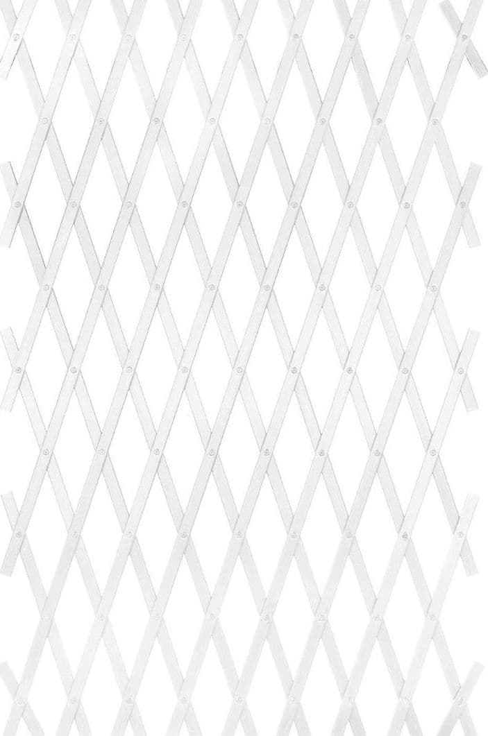 Traliccio estensibile per piante rampicanti in pvc Bianco - 2