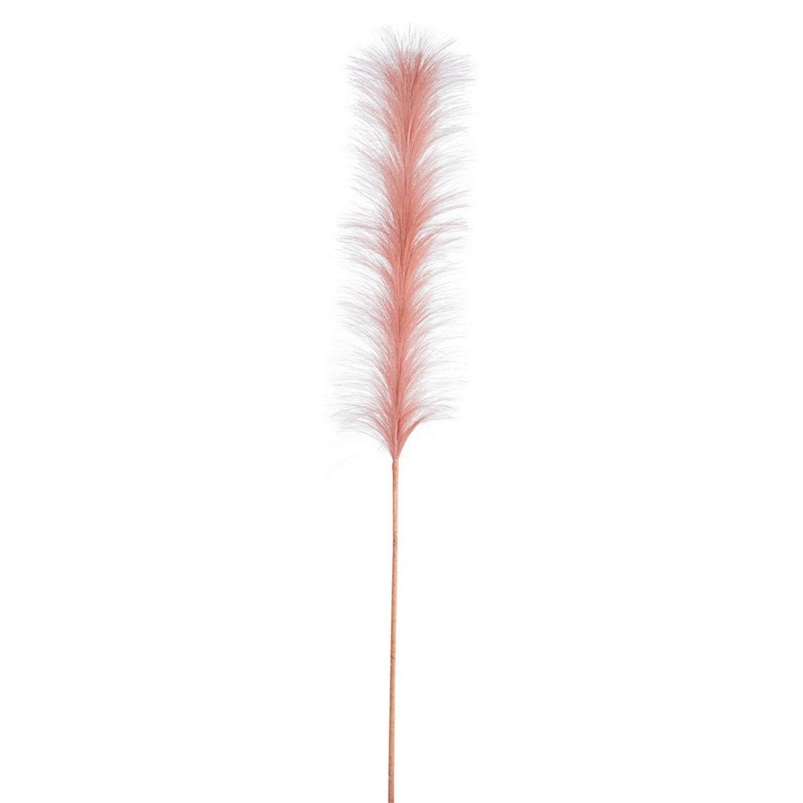 Ramo "Infinity" Rosa con Piume sfumate decorazione per interno da h 90 cm