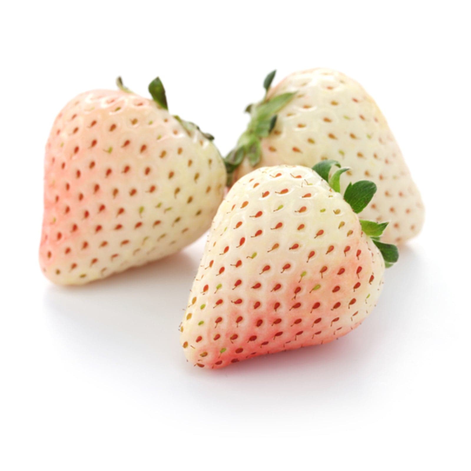 Semi di Fragola bianca "Pineberry"  piante per orto e giardino coltivazione domestica e professionale