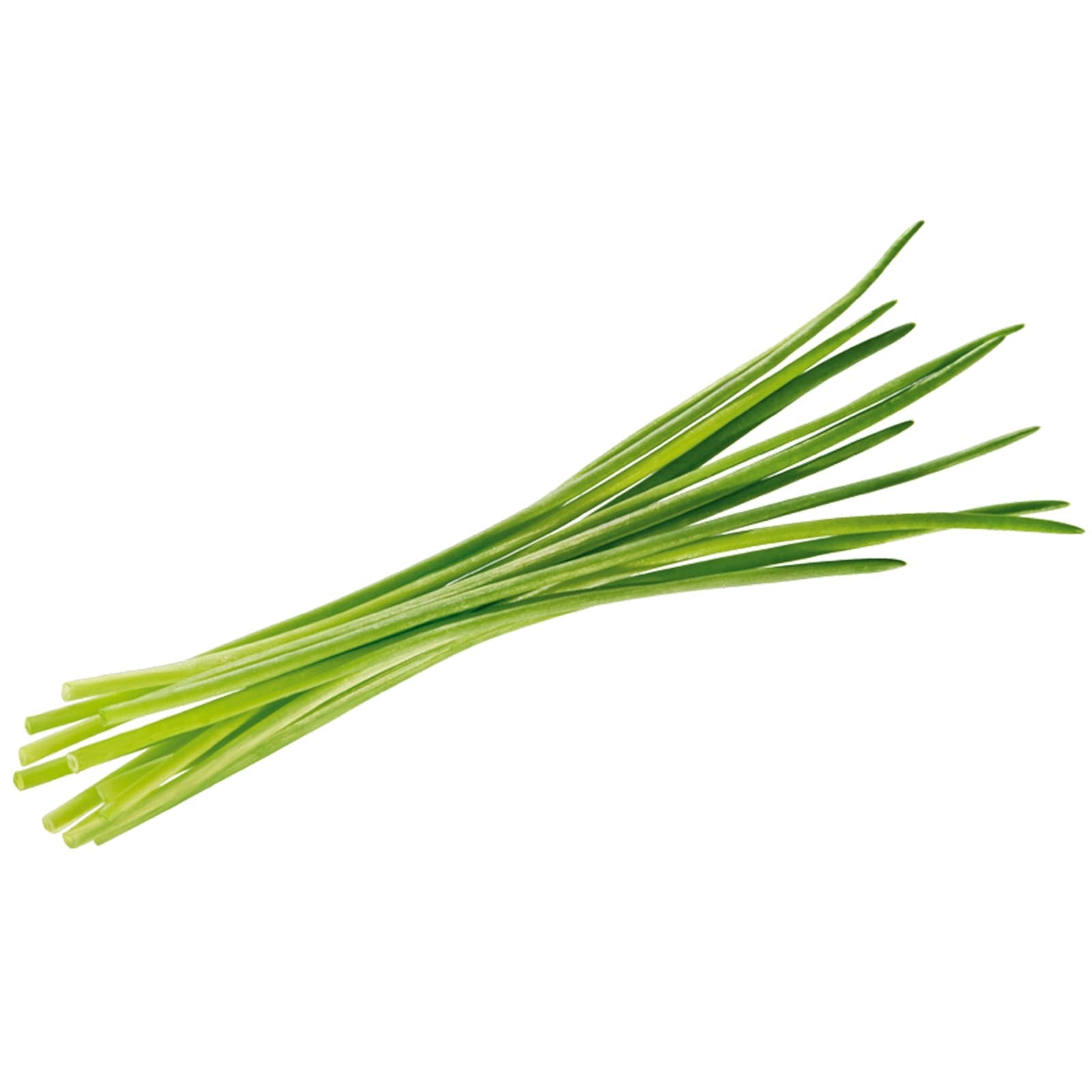 Semi di erba cipollina piante per orto e giardino coltivazione domestica e professionale - 3