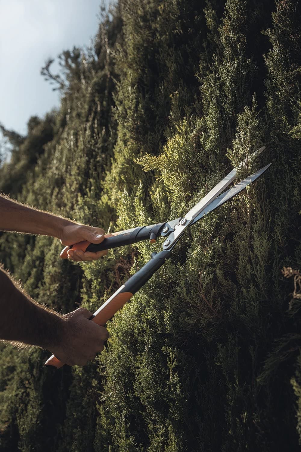Forbicione professionale a cremagliera per siepe con lama retta da 63 cm - 6