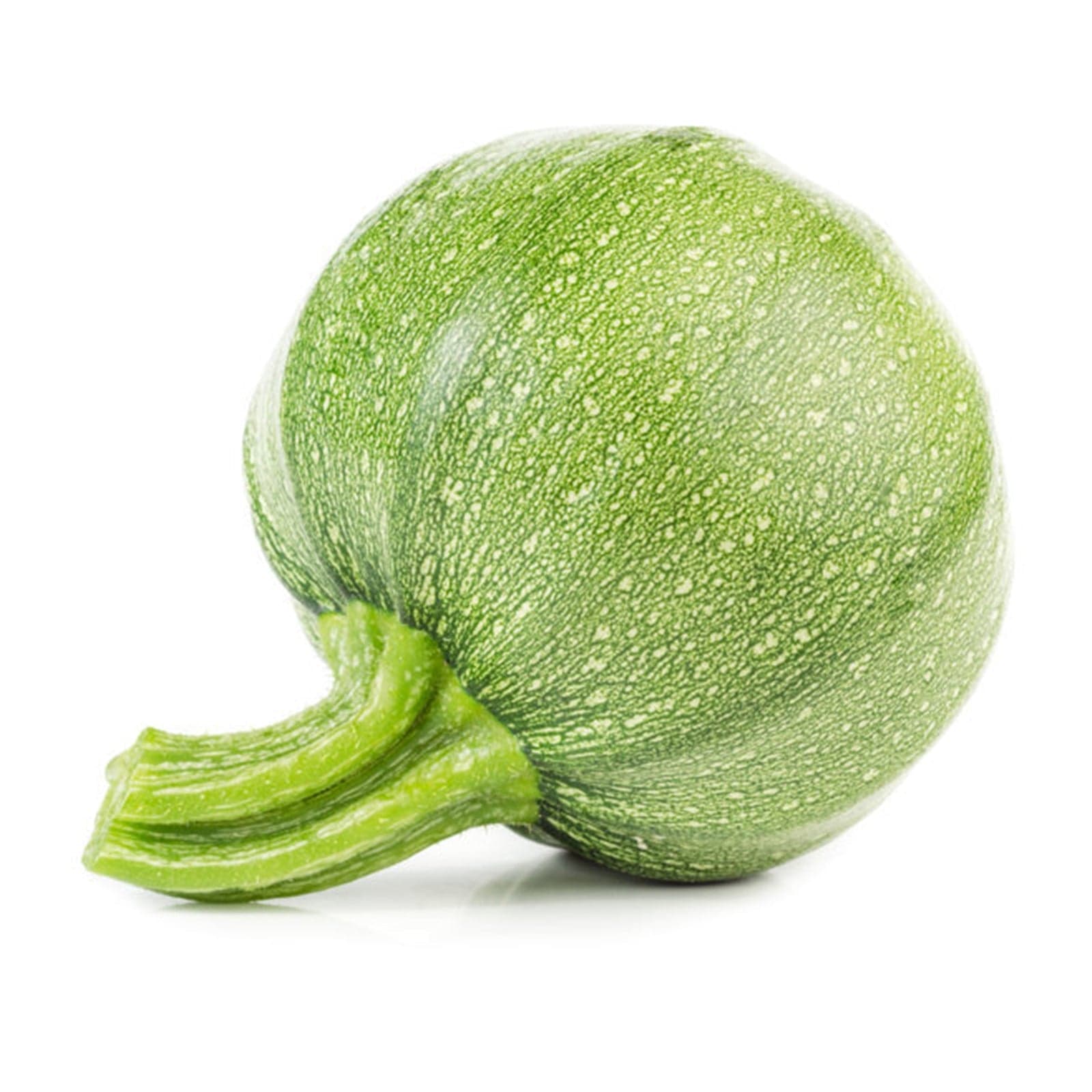 Semi di zucchino "Tondo chiaro di Nizza" piante per orto e giardino coltivazione domestica e professionale