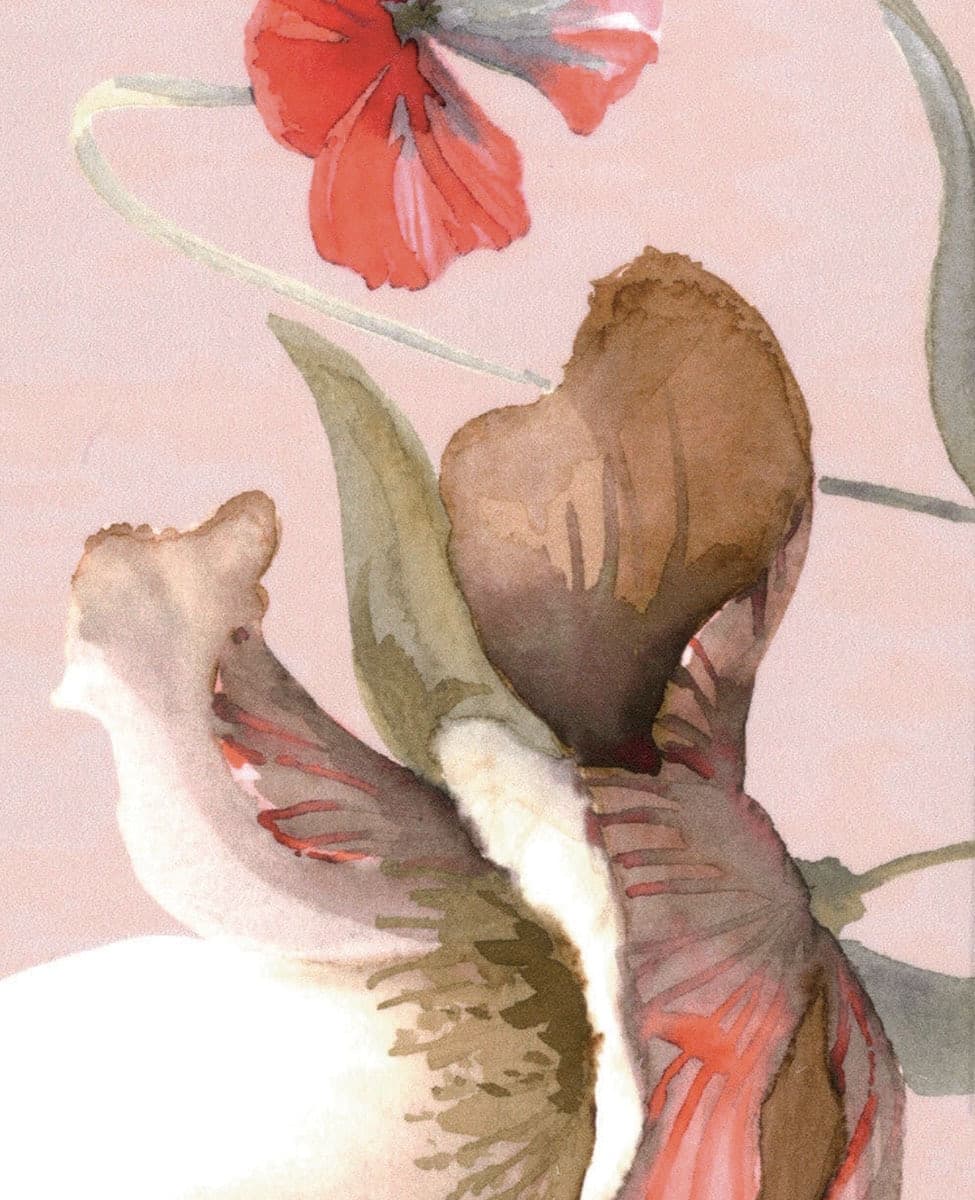 Completo Lenzuola Matrimoniale Blumarine Fleurette in Raso di Cotone 300 TC Made in Italy - 6
